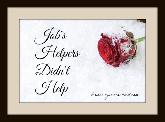 Red rose in snow