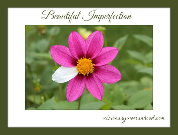 Beautiful Imperfection - Visionary Womanhood