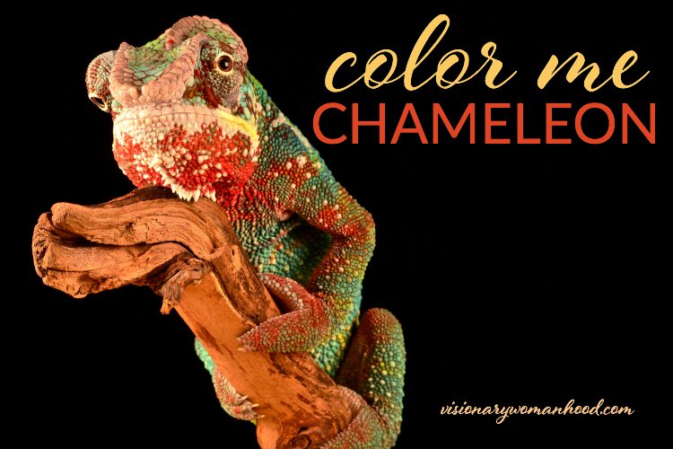 Color Me Chameleon - Visionary Womanhood